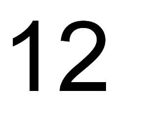 marque aqui sua bola n 12