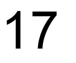 marque aqui sua bola n 17