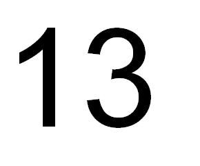 marque aqui sua bola n 13