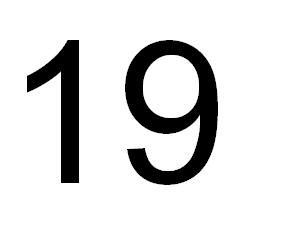 marque aqui sua bola n 19